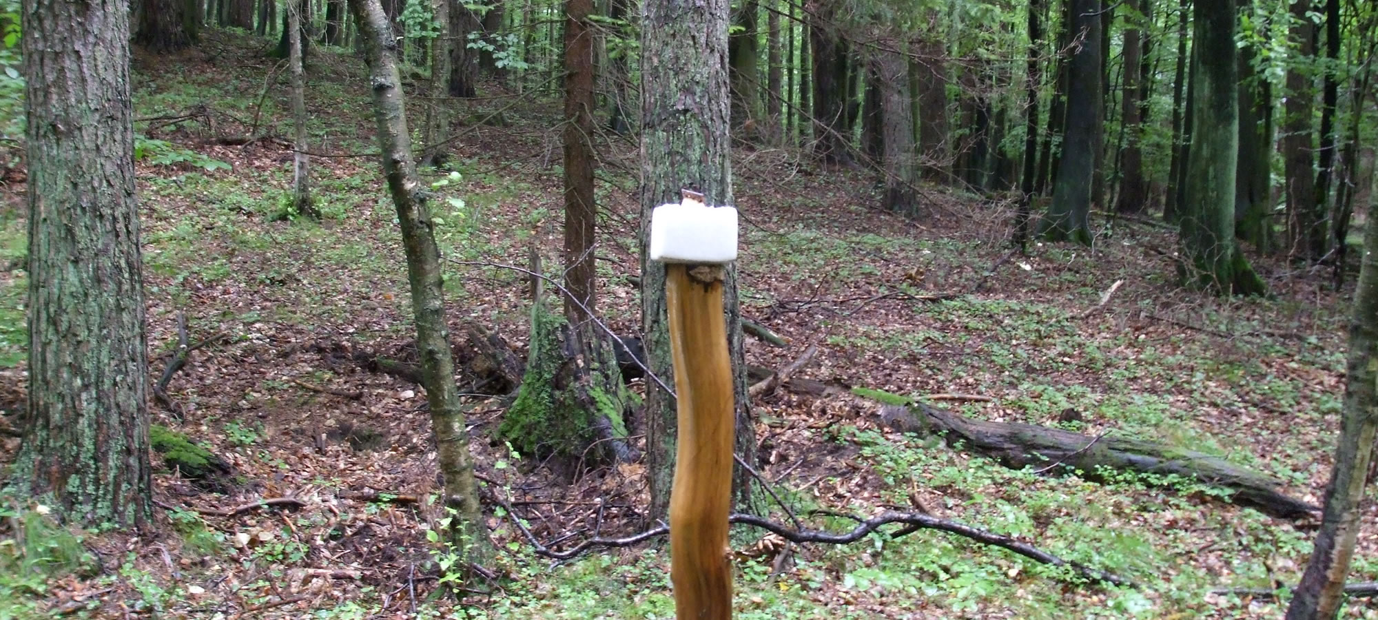 Exploring Mineral Site Benefits