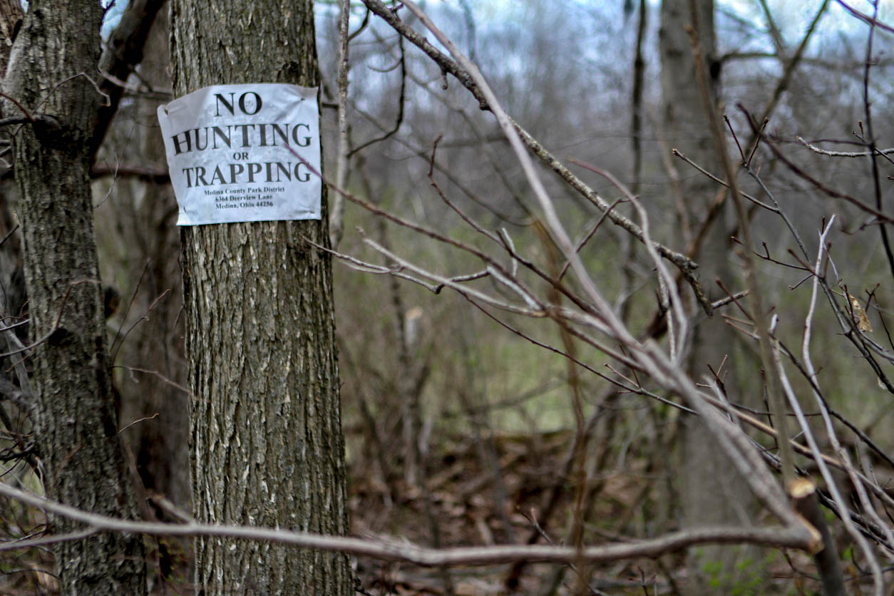 No hunting or trapping sign in woods