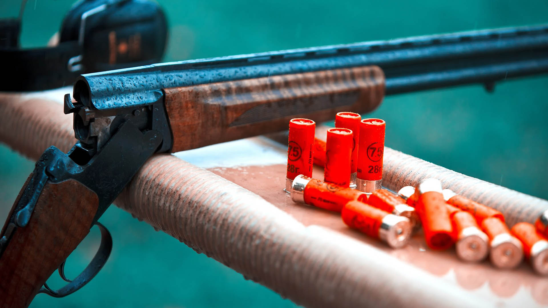 Shotgun resting on bench with shells