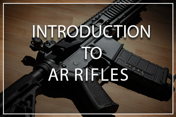Introduction to AR Rifles